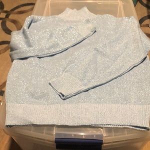 BFA classics light blue small sweater